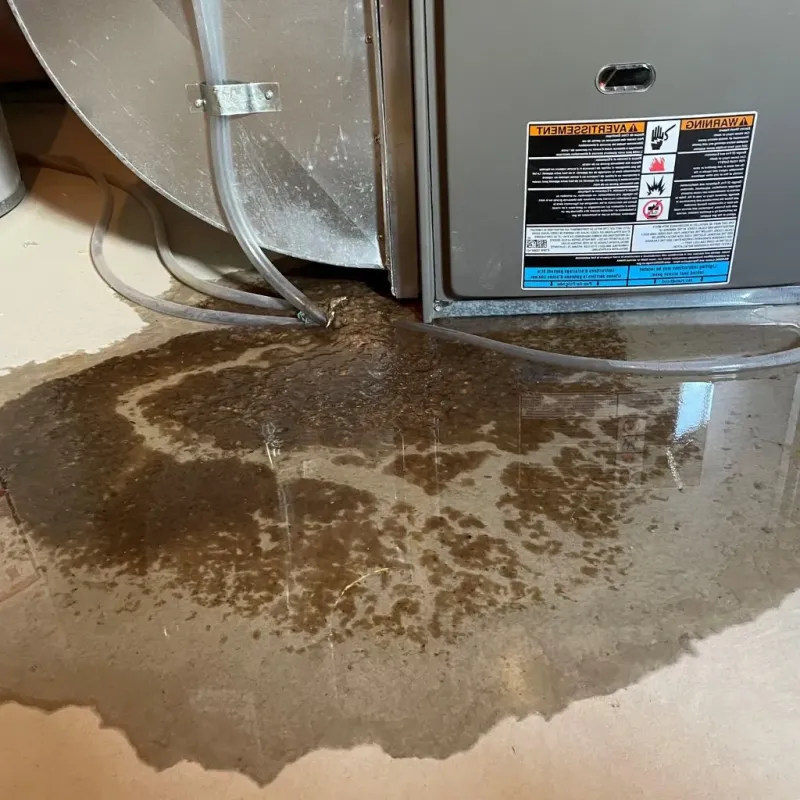 Pipe Burst and Leak Restoration in Northwood, NH
