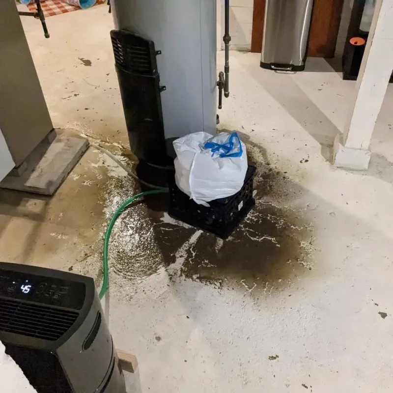 Sewage Backup Cleanup Service in Northwood, NH